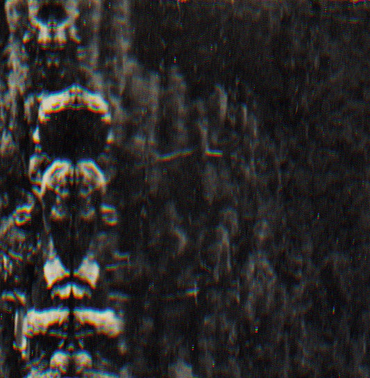 The Forest, The People And The Spirits |