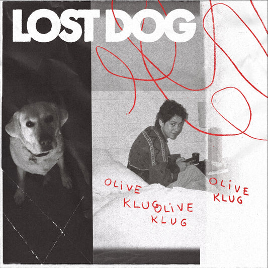 Lost Dog (CD) | Mint (M) Mint (M)