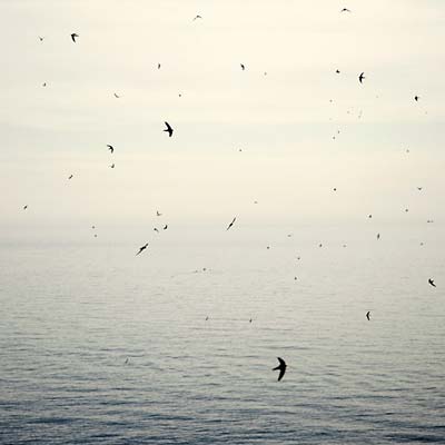 Your Naked Ghost Comes Back At Night |