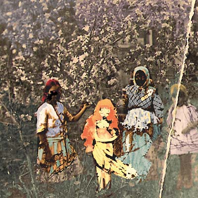 Laulu Laakson Kukista (CD) | Mint (M) Mint (M)