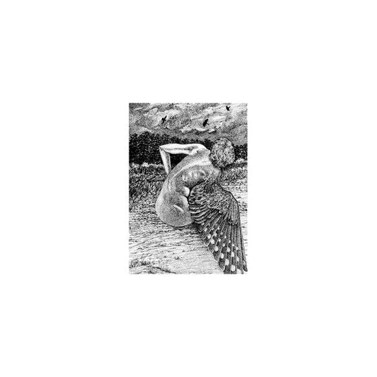 Patrick Lysaght - For The Birds [LP] |