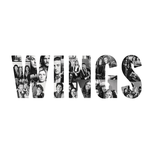 Paul McCartney and Wings - Wings (Deluxe 3x 180G VINYL) | Mint (M) Mint (M)