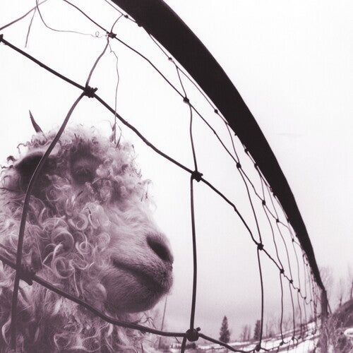 Vs. (CLEAR VINYL) | Mint (M) Mint (M)