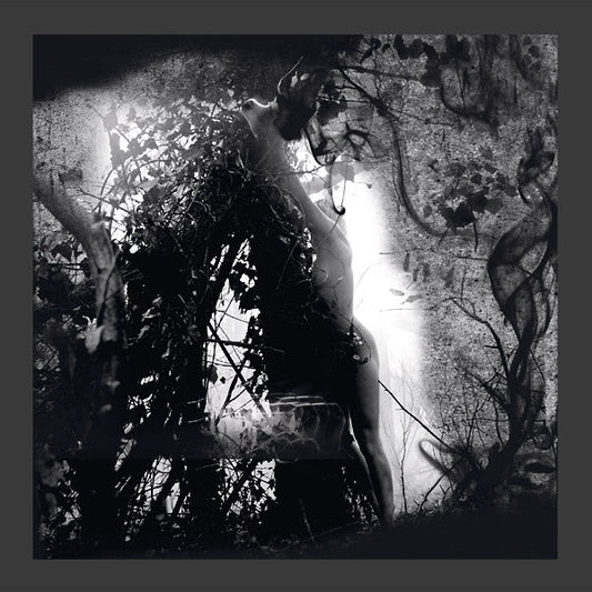 Tears Of A Rough Machine |