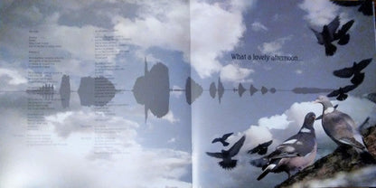 Aerial: 2018 Remaster (IEX: GOLDY LOCKS VINYL) | Mint (M) Mint (M)