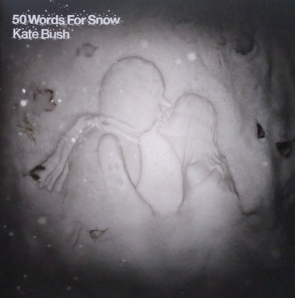 50 Words For Snow: 2018 Remaster (IEX: SNOWY WHITE VINYL) | Mint (M) Mint (M)