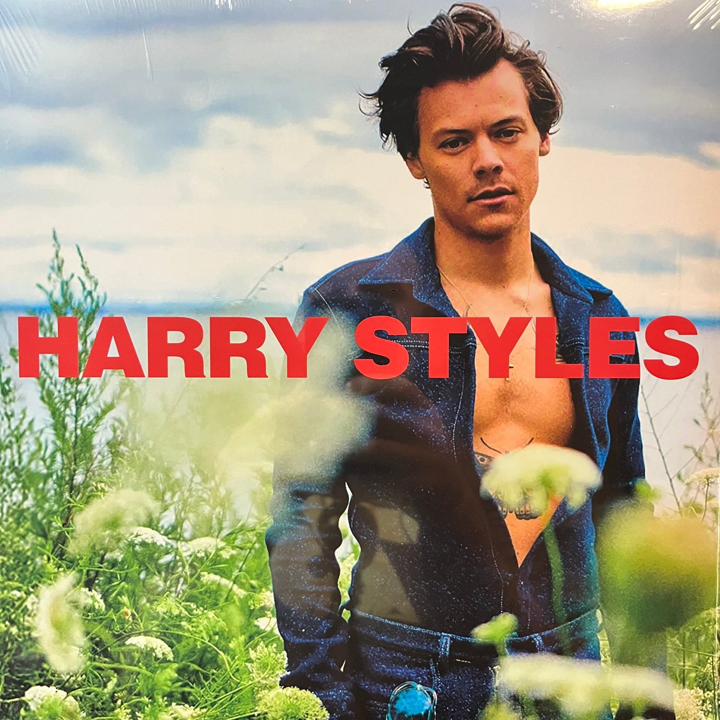 Harry Styles - Country Life (VINYL) | Mint (M) Mint (M)