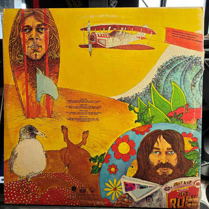 The Beach Boys - Endless Summer (VINYL W POSTER) | Excellent (EX) Very Good Plus (VG+)
