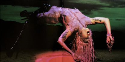 Lady Gaga - Chromatica (VINYL) | Near Mint (NM) Near Mint (NM)