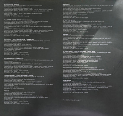 Paris Hilton - Infinite Icon (VINYL) | Near Mint (NM) Near Mint (NM)