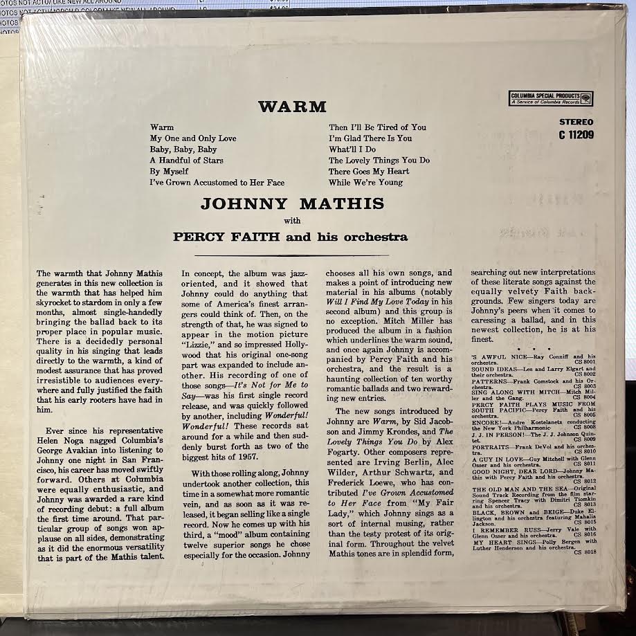 Warm (VINYL) | Near Mint (NM) Near Mint (NM)