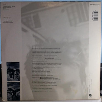 Sting - The Dream Of The Blue Turtles (VINYL) | Near Mint (NM) Near Mint (NM)