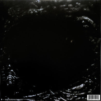 Lady Gaga - Chromatica (VINYL) | Near Mint (NM) Near Mint (NM)