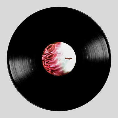 Lady Gaga - Chromatica (VINYL) | Near Mint (NM) Near Mint (NM)