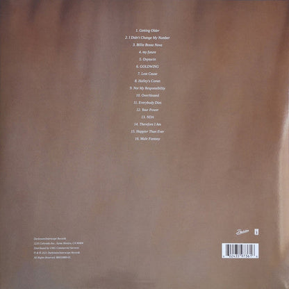 Billie Eilish - Happier Than Ever (2xVINYL) | Near Mint (NM) Near Mint (NM)