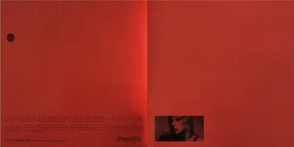 Lady Gaga - Chromatica (VINYL) | Near Mint (NM) Near Mint (NM)