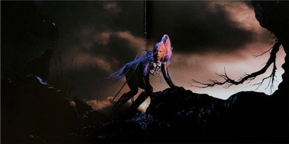 Lady Gaga - Chromatica (VINYL) | Near Mint (NM) Near Mint (NM)
