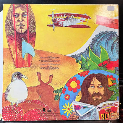 The Beach Boys - Endless Summer (2xVINYL) | Very Good Plus (VG+) Excellent (EX)
