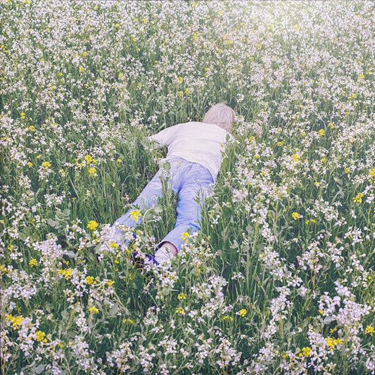 Porter Robinson - Nurture (CLEAR VINYL) | Mint (M) Mint (M)