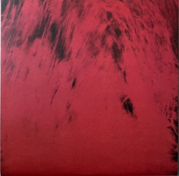 Spiritchaser (VINYL) | Mint (M) Mint (M)