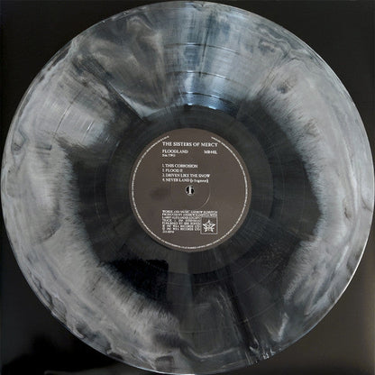 Floodland (COLOR VINYL) | Mint (M) Mint (M)