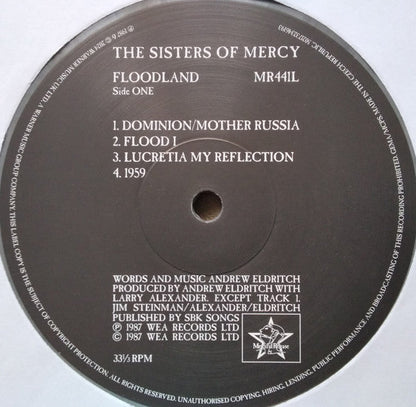 Floodland (COLOR VINYL) | Mint (M) Mint (M)