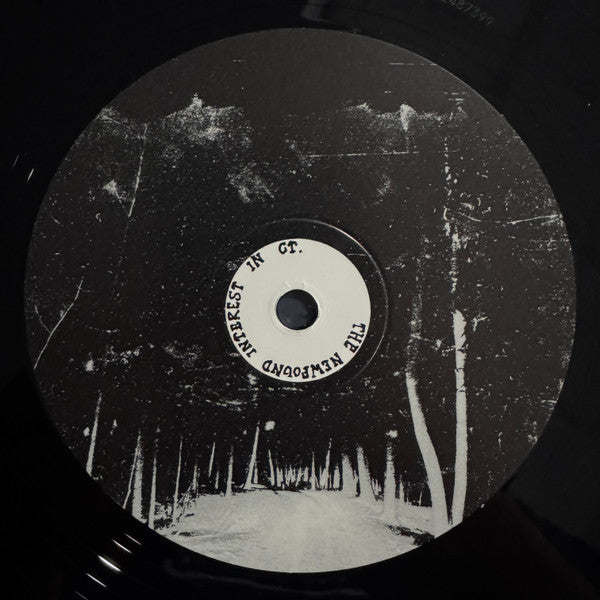 The Newfound Interest In Connecticut - Tell Me About The Long Dark Path Home (2xVINYL) | Mint (M) Mint (M)