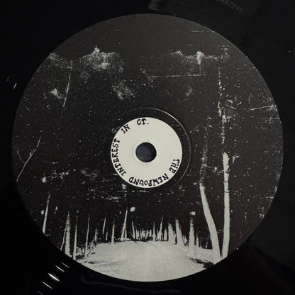 The Newfound Interest In Connecticut - Tell Me About The Long Dark Path Home (2xVINYL) | Mint (M) Mint (M)