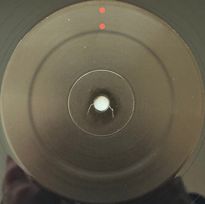 Gastr Del Sol - Camoufleur (VINYL) |