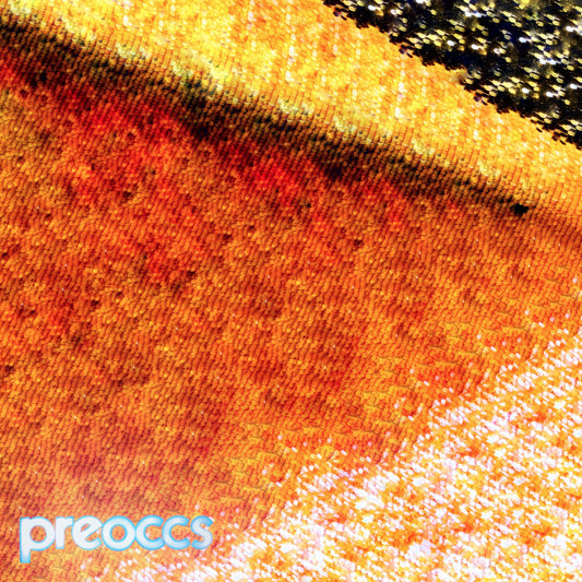 (PRE-ORDER 10/10/25) Mur/Ponr (Yellow Vinyl 7") | Mint (M) Mint (M)