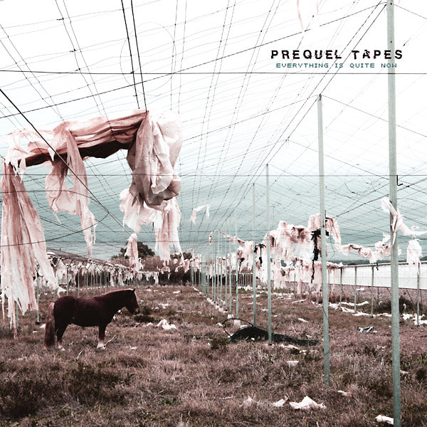 Everything Is Quite Now |