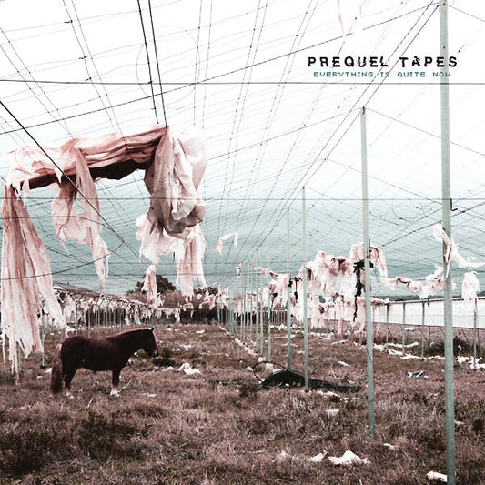 Everything Is Quite Now |