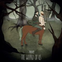 andhim - The Wizard Of Us (VINYL 12") | Mint (M) Mint (M)