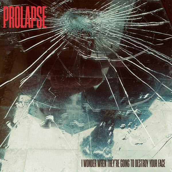 I Wonder When They'Re Going To Destroy Your Face [Lp] |