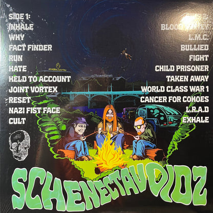 Schenectavoidz - Void Beyond The Pines (RANDOM COLOR VINYL) | Mint (M) Mint (M)