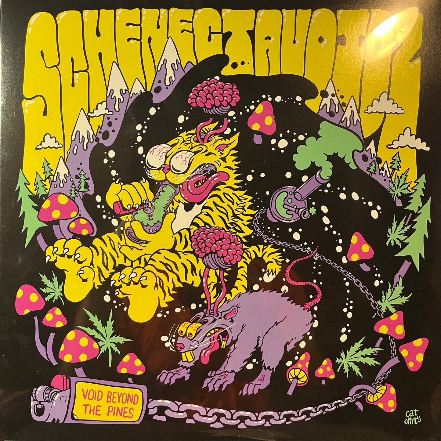 Schenectavoidz - Void Beyond The Pines (RANDOM COLOR VINYL) | Mint (M) Mint (M)