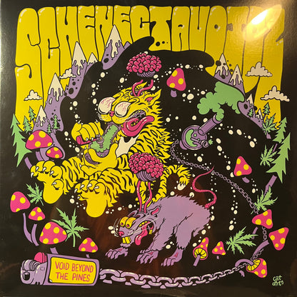 Schenectavoidz - Void Beyond The Pines (RANDOM COLOR VINYL) | Mint (M) Mint (M)