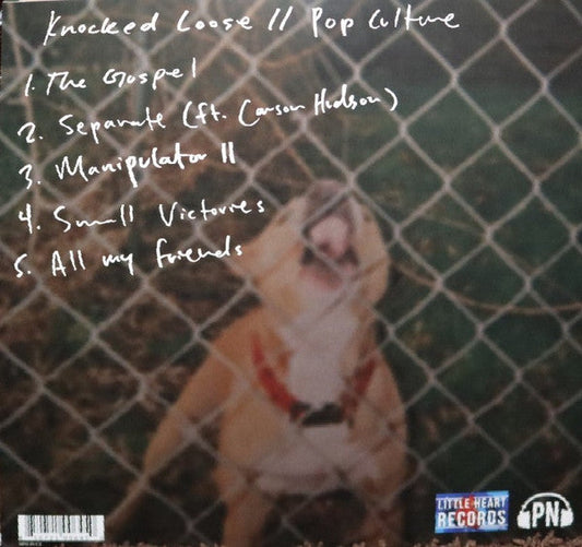 Knocked Loose - Pop Culture (VINYL) | Mint (M) Mint (M)