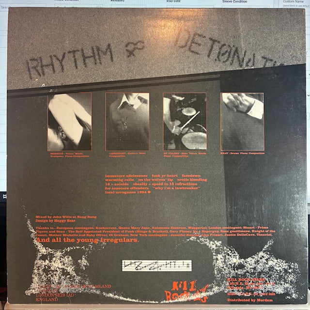 Huggy Bear (3) - Weaponry Listens To Love (VINYL) | Excellent (EX) Very Good Plus (VG+)