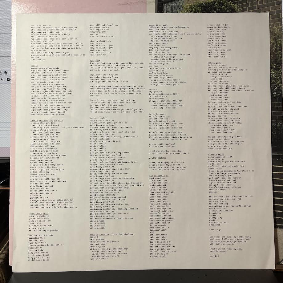 Sonic Youth - A Thousand Leaves (2xVINYL) | Near Mint (NM) Excellent (EX)