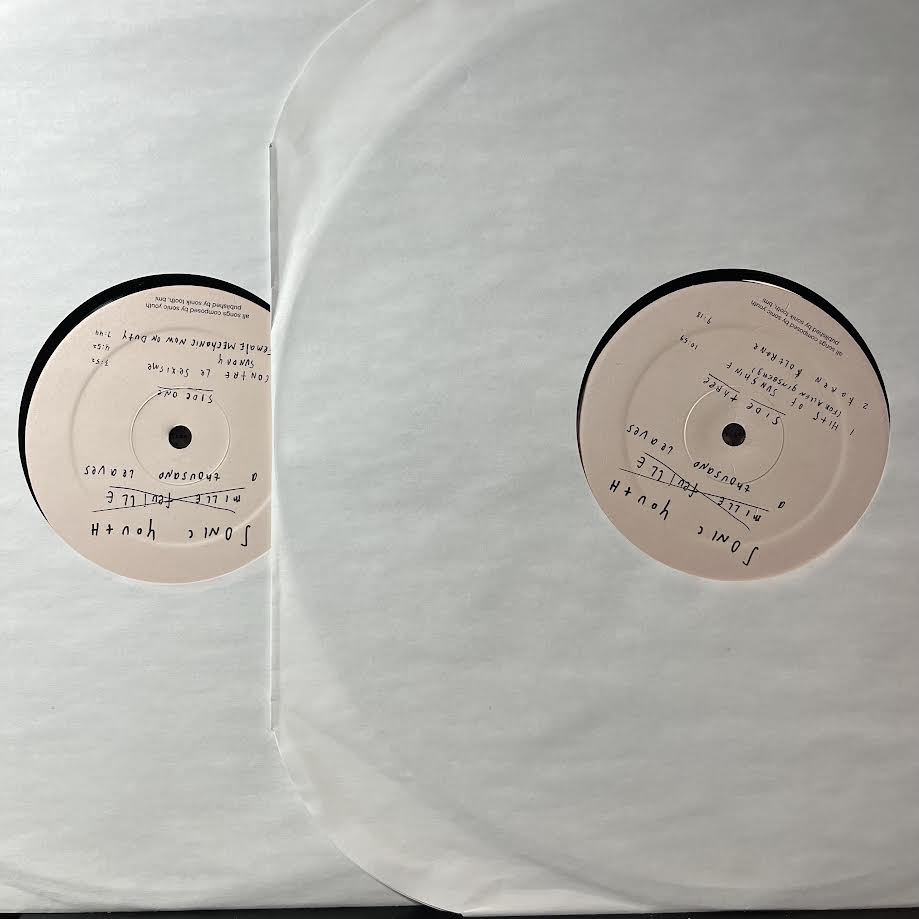 Sonic Youth - A Thousand Leaves (2xVINYL) | Near Mint (NM) Excellent (EX)