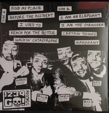 Carry The Banner (VINYL) | Near Mint (NM) Mint (M)