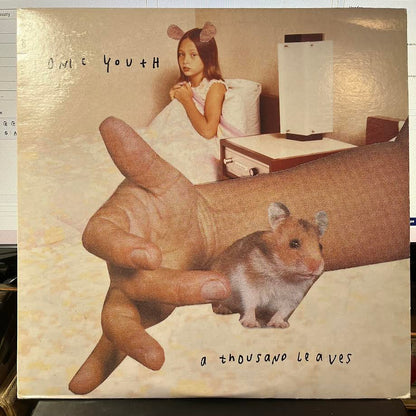 Sonic Youth - A Thousand Leaves (2xVINYL) | Near Mint (NM) Excellent (EX)