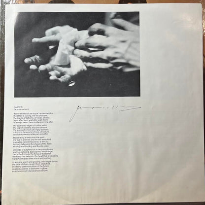Patti Smith Group - Easter (VINYL) | Near Mint (NM) Near Mint (NM)