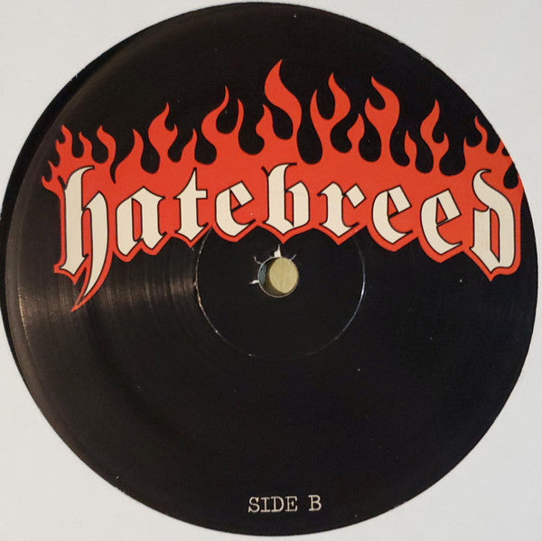 Hatebreed - Satisfaction Is The Death Of Desire (VINYL) | Near Mint (NM) Near Mint (NM)