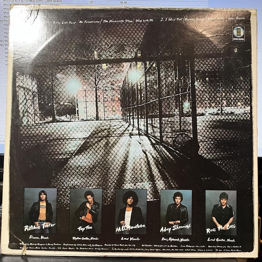 The Dictators - Bloodbrothers (VINYL) | Very Good (VG) Very Good Plus (VG+)
