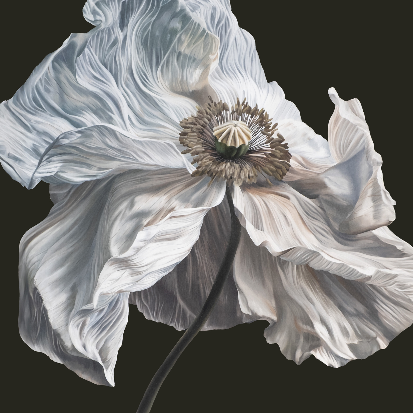 Quicksand - Bring On The Psychics (Indie Exclusive) [Coffee Swirl] |