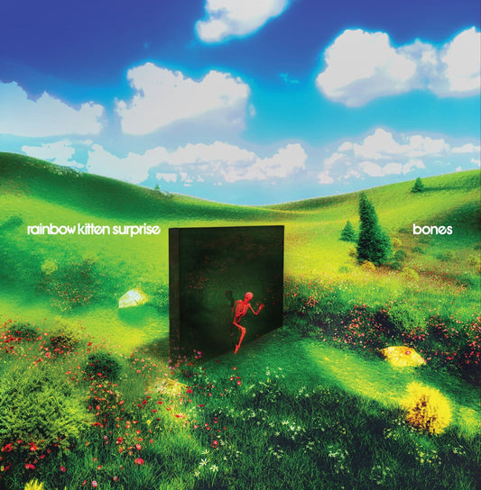 Rainbow Kitten Surprise - Bones [Indie Exclusive] (BANANA VINYL) | Mint (M) Mint (M)