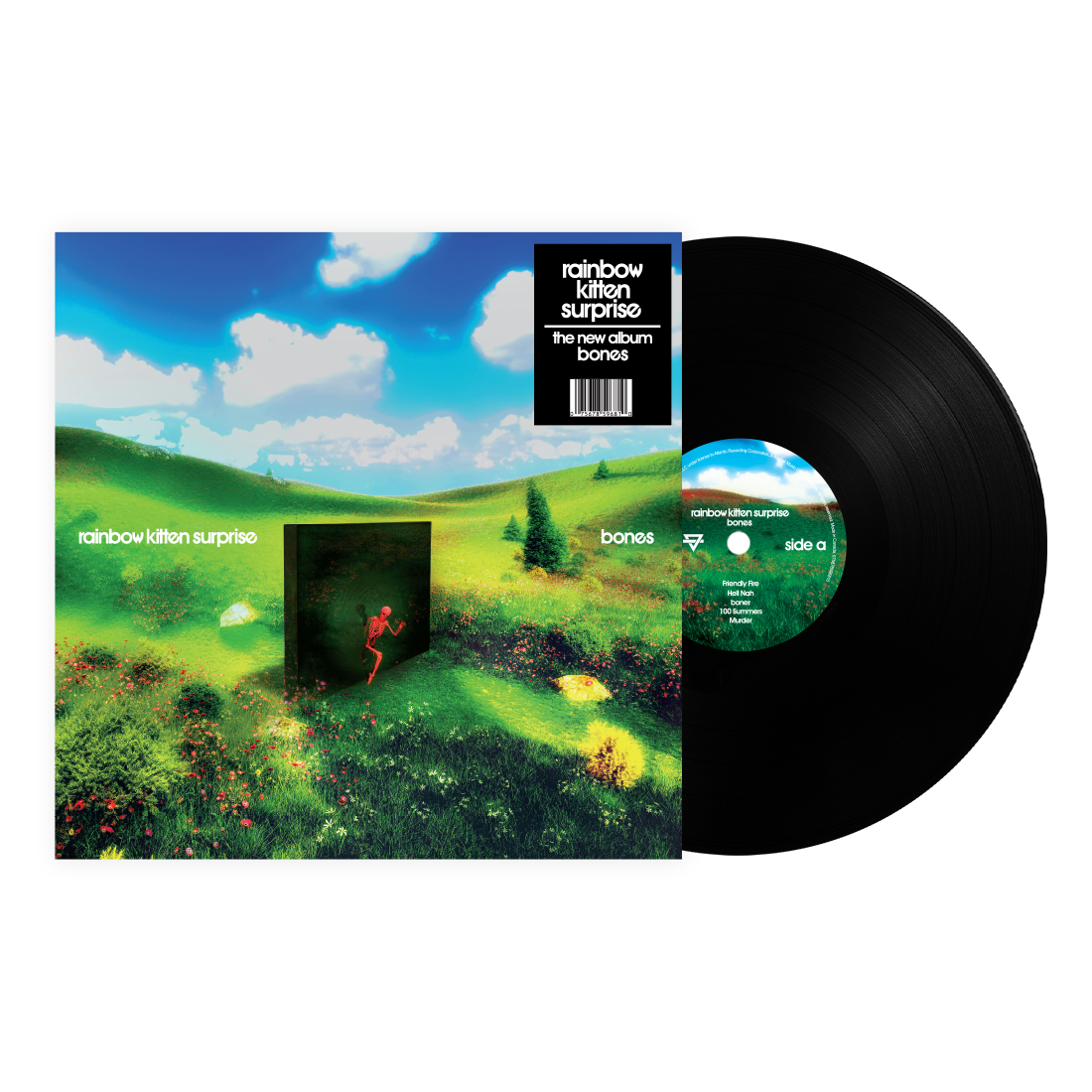 Rainbow Kitten Surprise - Bones (VINYL) | Mint (M) Mint (M)
