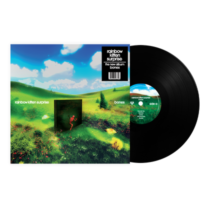 Rainbow Kitten Surprise - Bones (VINYL) | Mint (M) Mint (M)